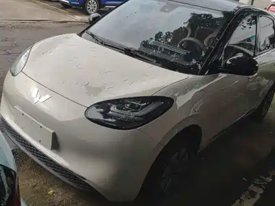 Wuling Motors Bingo 2024