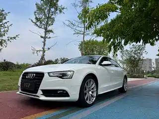 Audi A5 (Import) 2014