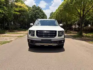 Haval Big Dog 2022