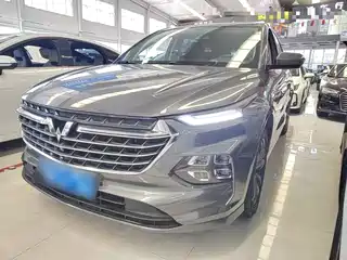 Wuling Motors Wuling Victory 2020