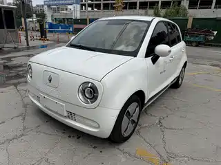 Ora Black Cat 2022
