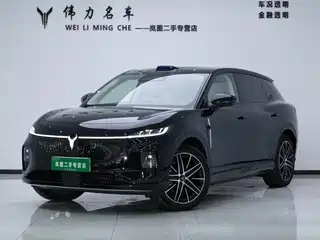 Voyah Auto Voyah Zhiyin 2025