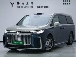 Voyah Auto Dreamer 2024