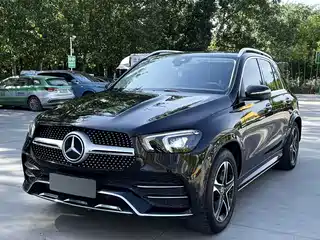 Mercedes-Benz Mercedes-Benz GLE New Energy 2021