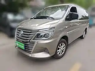 Dongfeng Fengxing Lingzhi 2020