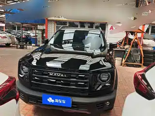 Haval Big Dog 2025