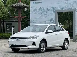 Guojin Auto Junxing 2025