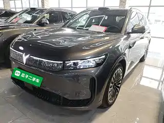 Voyah Auto FREE 2025