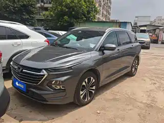 Wuling Motors Wuling Victory 2020