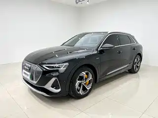 Audi Audi e-tron 2021