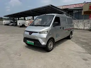 Wuling Motors Wuling EV50 2021