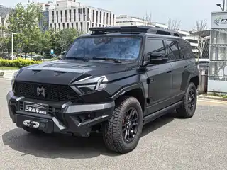 Mengshi 917 2023