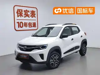 Dongfeng Yipai Nano EX1 2023