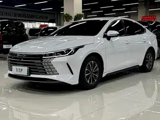 BYD Destroyer 05 2024