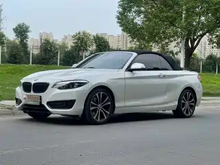BMW 2 Series (Import) 2019