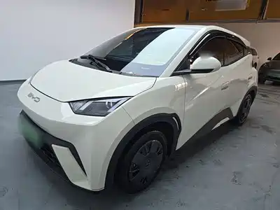 BYD Seagull 2024