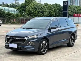 Wuling Motors Wuling Victory 2020