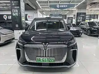 Voyah Auto Dreamer 2025