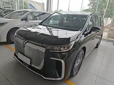 Voyah Auto Dreamer 2024