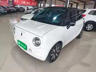 Ora Black Cat 2021