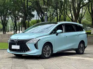 Dongfeng Fengxing Fengxing Yacht 2022