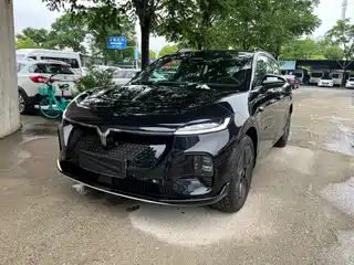 Voyah Auto Voyah Zhiyin 2024