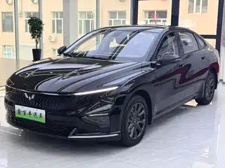 Wuling Motors Xingguang 2025