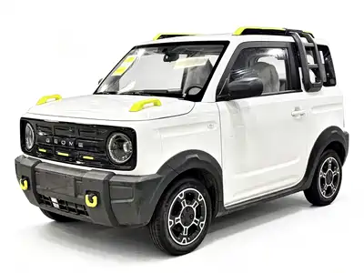 Geely Galaxy Panda 2026