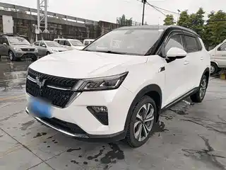Wuling Motors Wuling Xingchen 2021