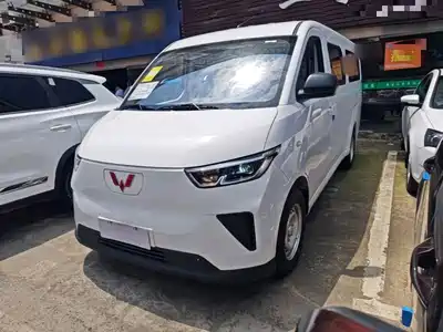 Wuling Motors Wuling Yangguang 2024