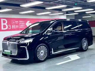 Voyah Auto Dreamer 2024