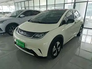 BYD Dolphin 2024