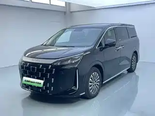 BYD BYD M9 2025