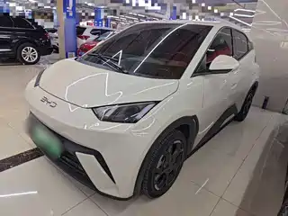 BYD Seagull 2024