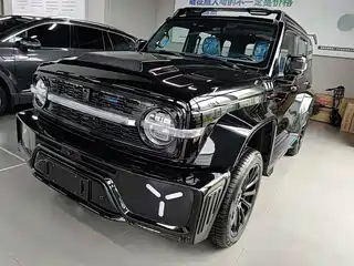 Crossboundary Auto Co-created Tank 300 2023