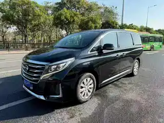GAC Trumpchi M8 2020