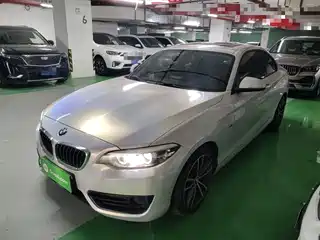 BMW 2 Series (Import) 2017