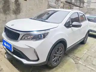 Ruilan Auto X3 PRO 2022