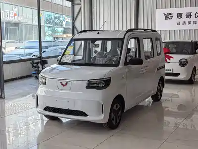 Wuling Motors Zhiguang NEV 2026