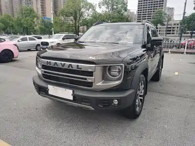 Haval Big Dog 2024