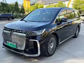Voyah Auto Dreamer 2024