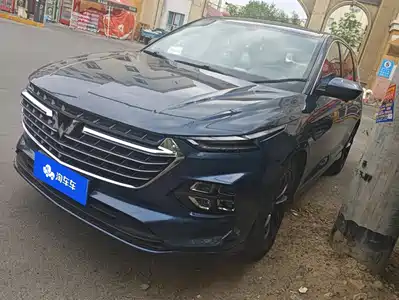 Wuling Motors Wuling Victory 2020