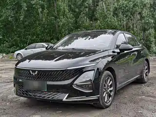 Wuling Motors Wuling Xingguang 2025
