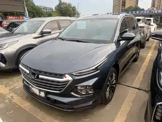 Wuling Motors Victory 2021
