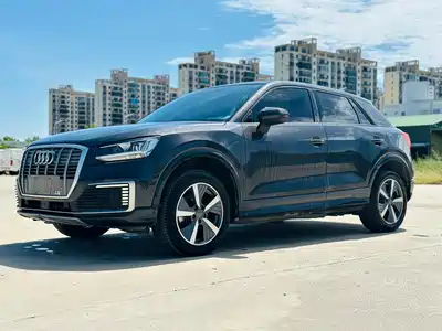 Audi Q2L e-tron 2021
