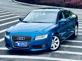 Audi A5 (Import) 2010