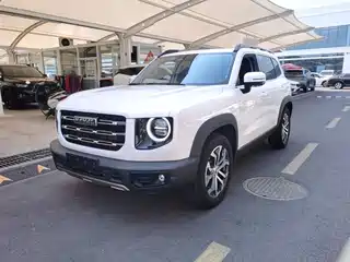 Haval Big Dog 2020