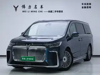 Voyah Auto Dreamer 2024