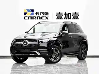 Mercedes-Benz Mercedes-Benz GLE New Energy 2021