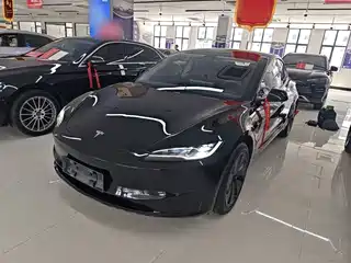 Tesla Model 3 2025